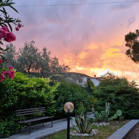 Bed and Breakfast San Casciano Narni Exterior foto