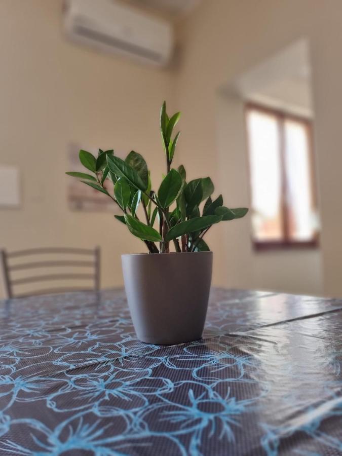 Bed and Breakfast San Casciano Narni Exterior foto